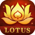 Lotus Teen Patti