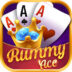 ACE Rummy