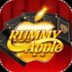 Rummy Bonus 41 Rupees Free