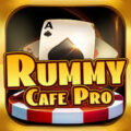 Rummy Cafe Pro